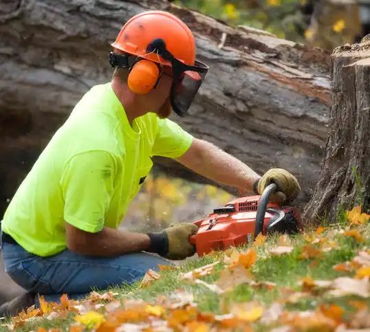 tree services Adelphi